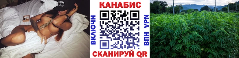 Продажа наркотиков Суджа АМФЕТАМИН  Кокаин  Альфа ПВП  ГАШ  Марихуана 