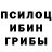 Псилоцибиновые грибы MAGIC MUSHROOMS eva.williqxx