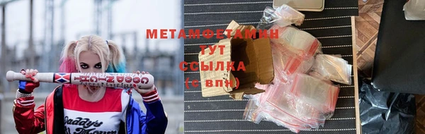 прущие грибы Карпинск
