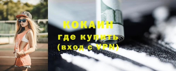 винт Каменка