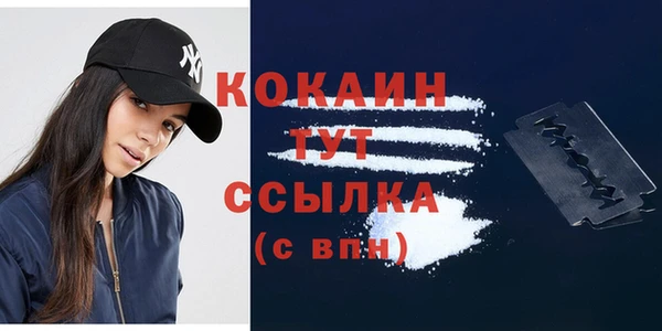 винт Каменка