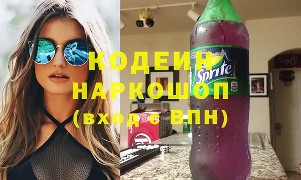 винт Каменка