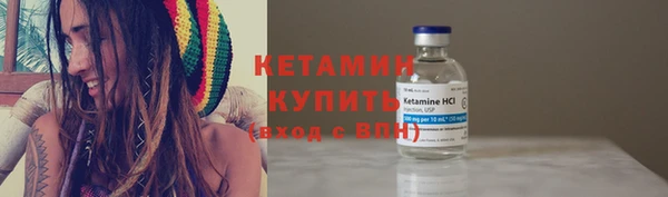 прущие грибы Карпинск