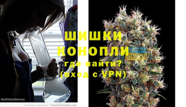 СК Каменногорск