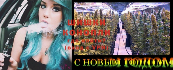 СК Каменногорск