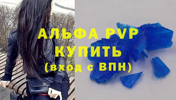 прущие грибы Карпинск