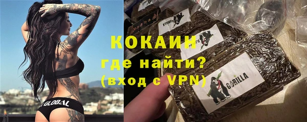 гашик Карталы