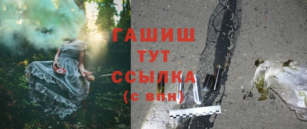 прущие грибы Карпинск