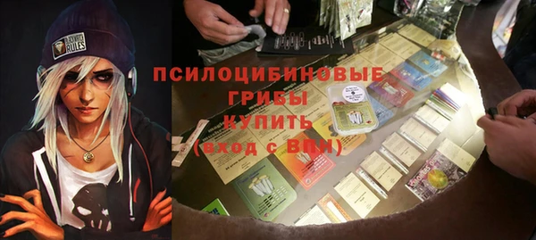 винт Каменка