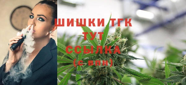 стафф Чегем