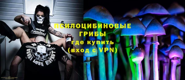гашик Карталы