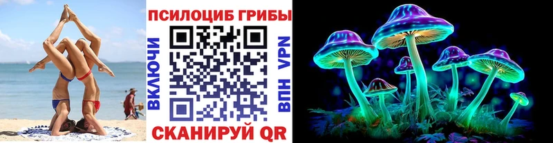 Псилоцибиновые грибы GOLDEN TEACHER  закладка  Суджа 
