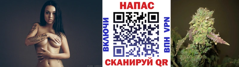 Каннабис SATIVA & INDICA Суджа